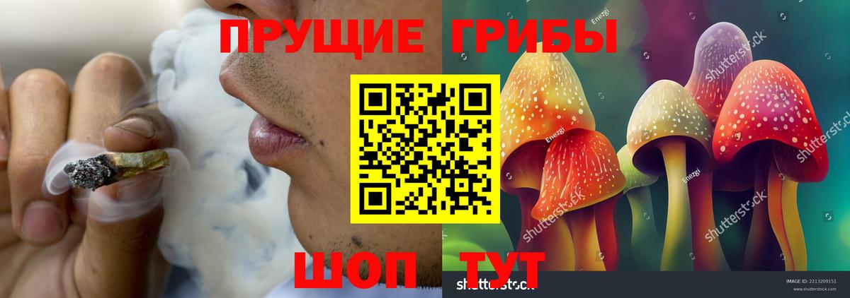 продажа наркотиков  Псилоцибиновые грибы ЛСД  Вход с VPN  Санкт-Петербург 